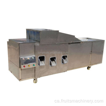 Fruits elèctrics Fruits Dates de cherry Plum Cherry Machine